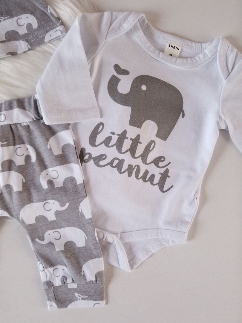 Conjunto elefante