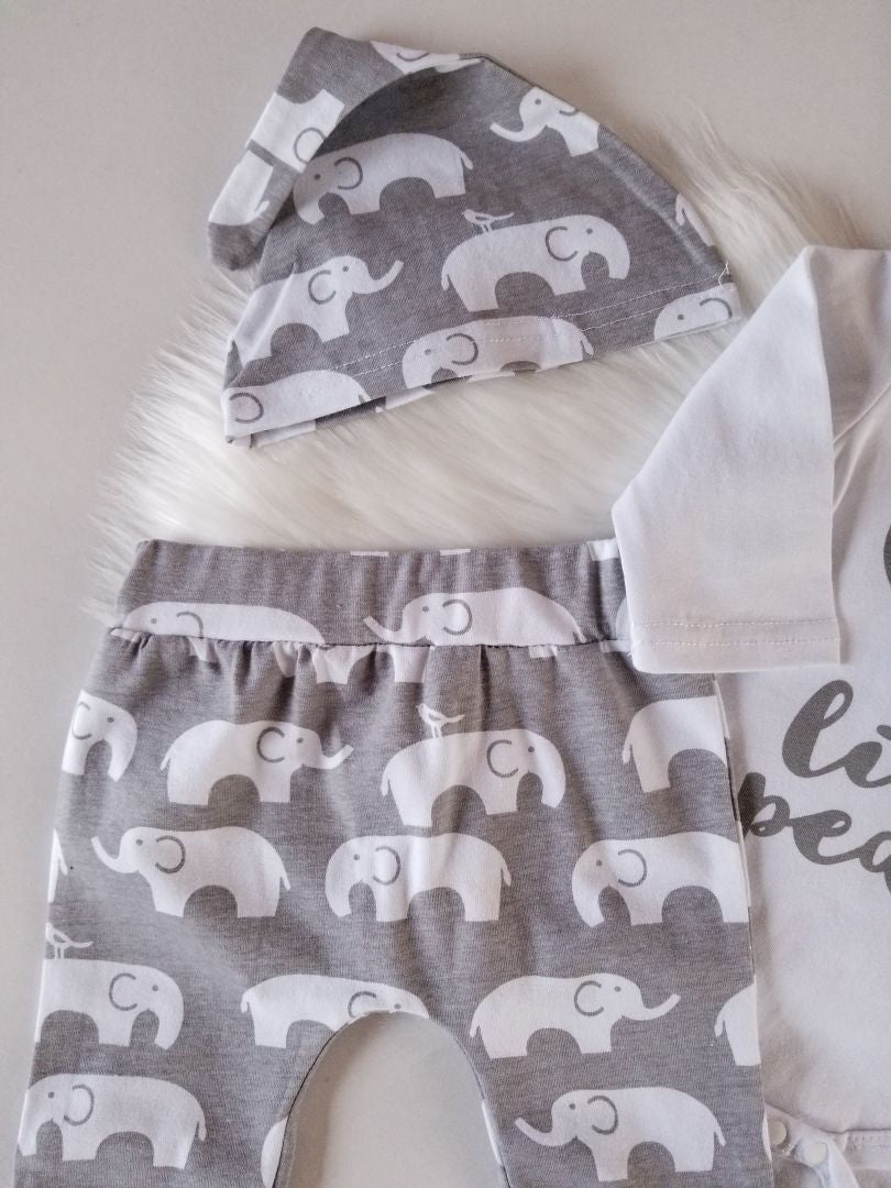 Conjunto elefante