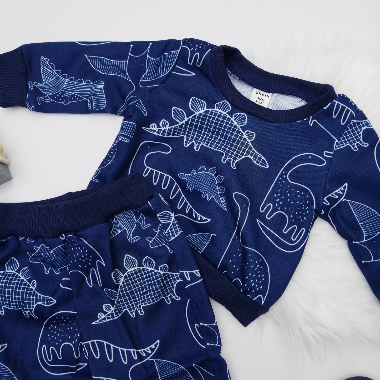 Conjunto dinosaurio