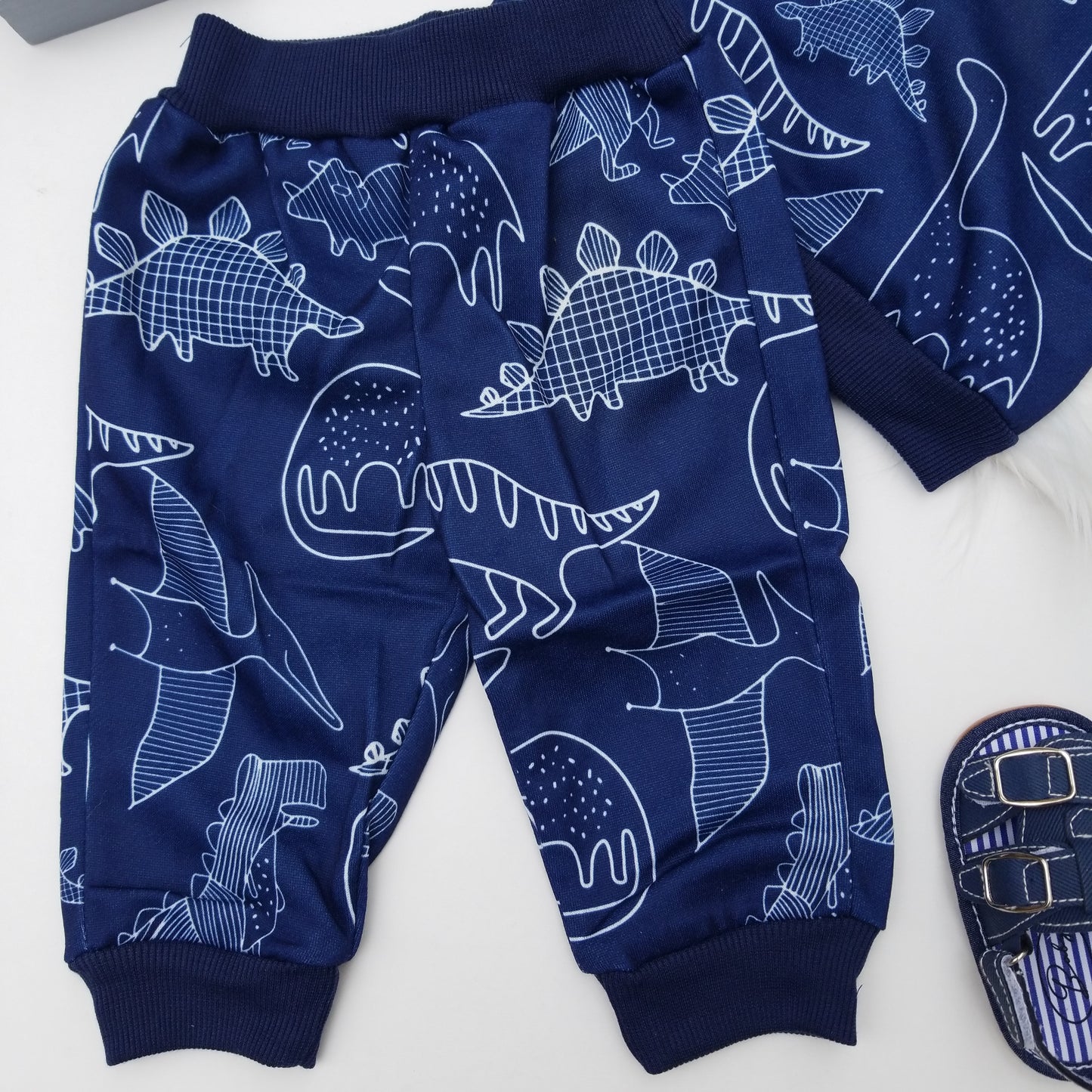 Conjunto dinosaurio