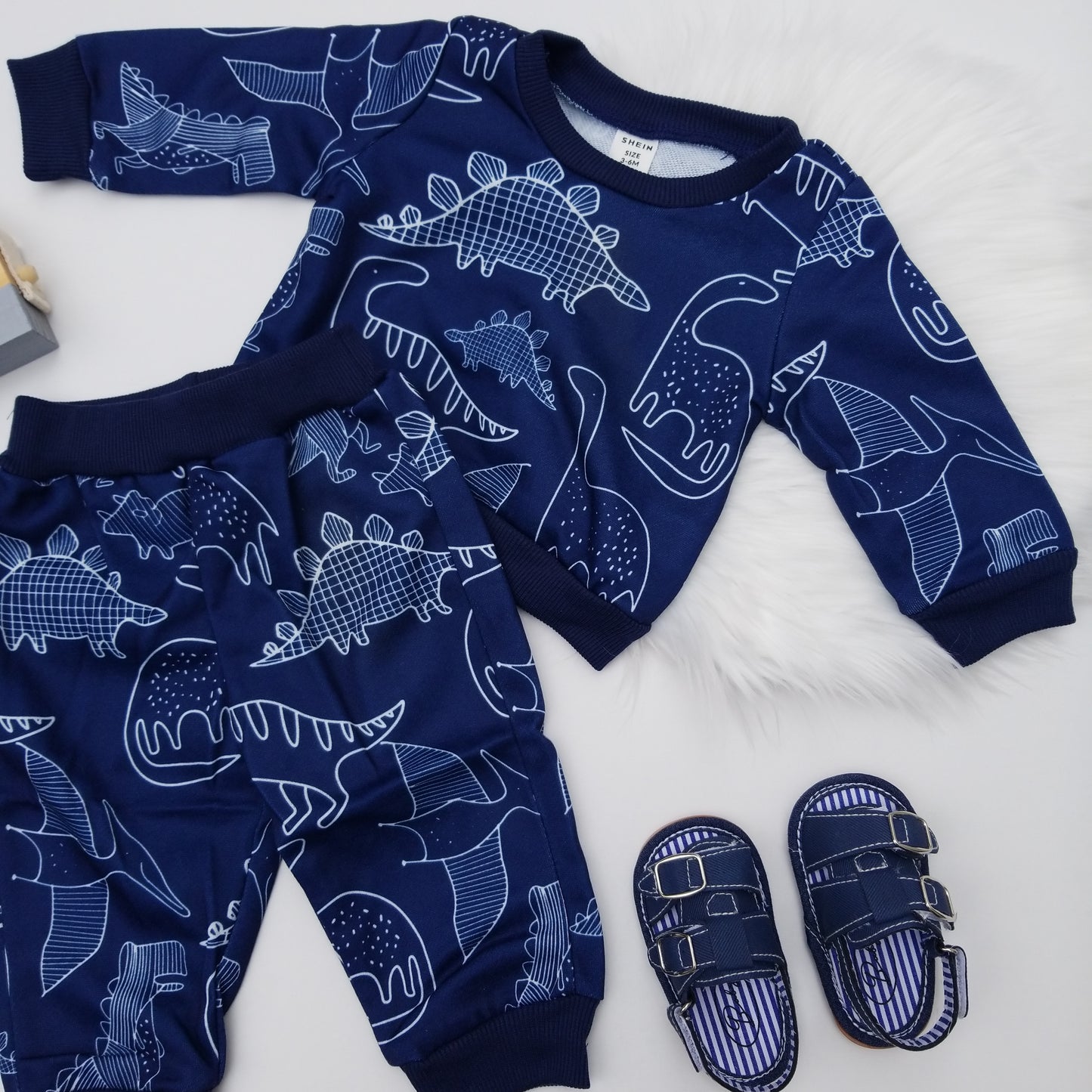 Conjunto dinosaurio