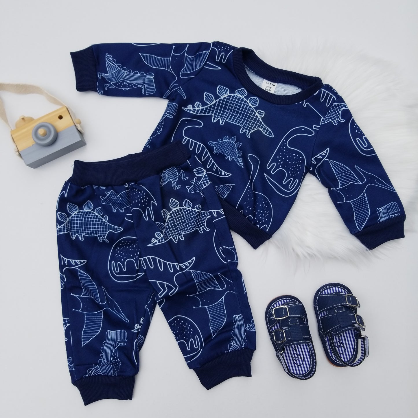 Conjunto dinosaurio
