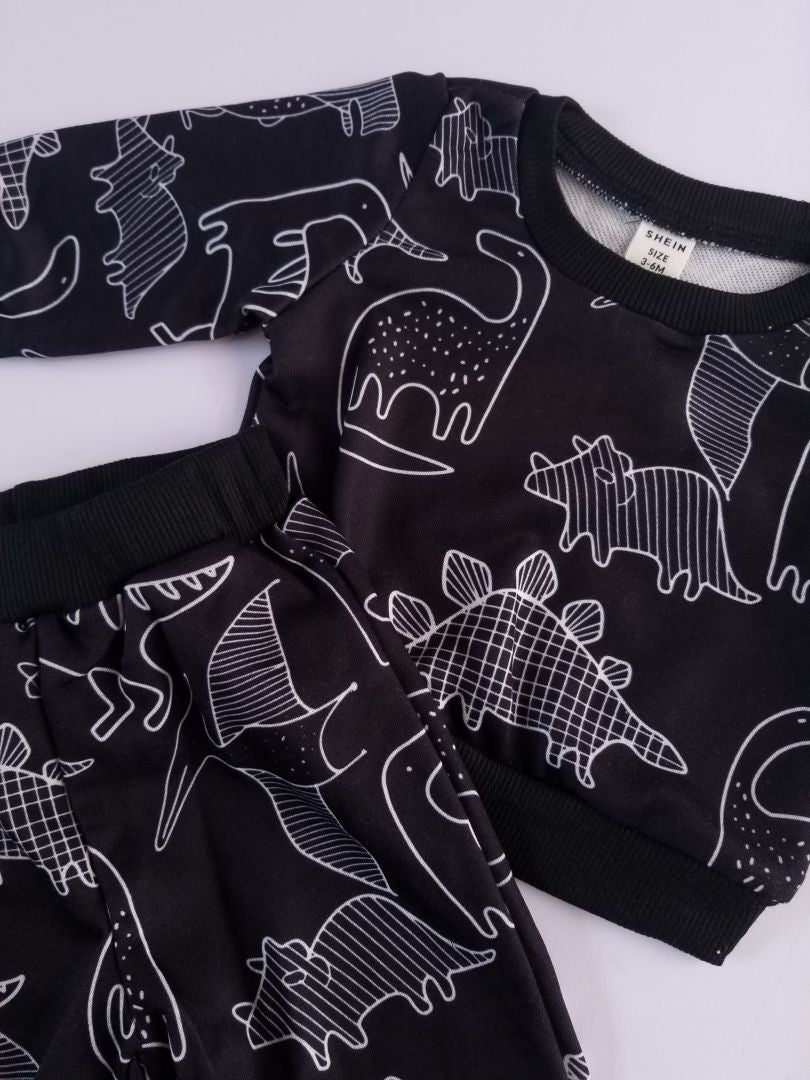 Conjunto dinosaurio