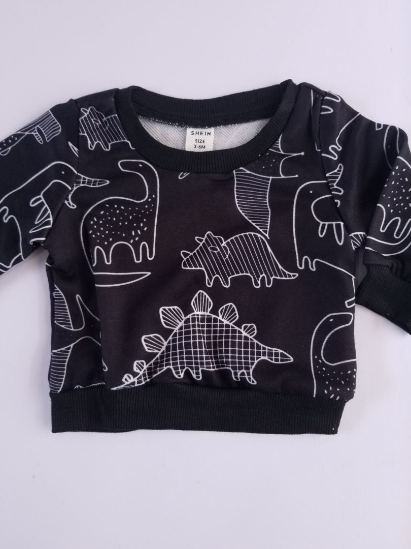 Conjunto dinosaurio