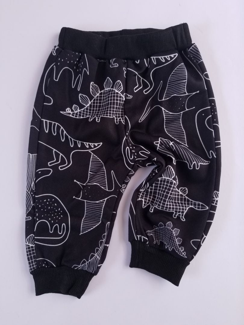 Conjunto dinosaurio