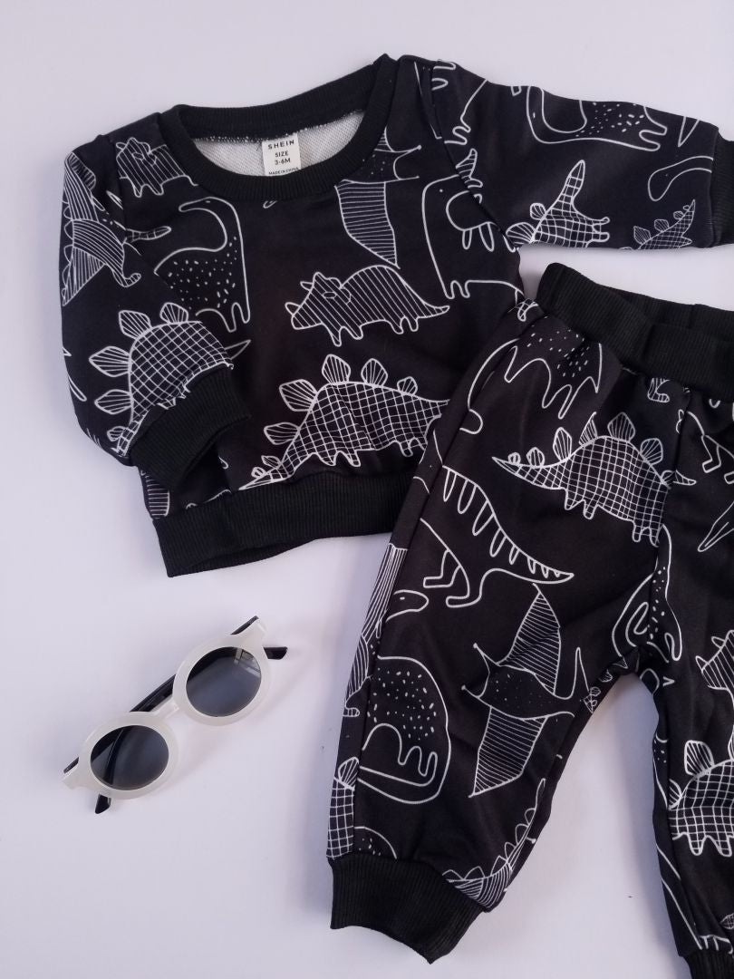 Conjunto dinosaurio