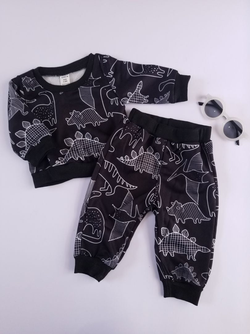 Conjunto dinosaurio