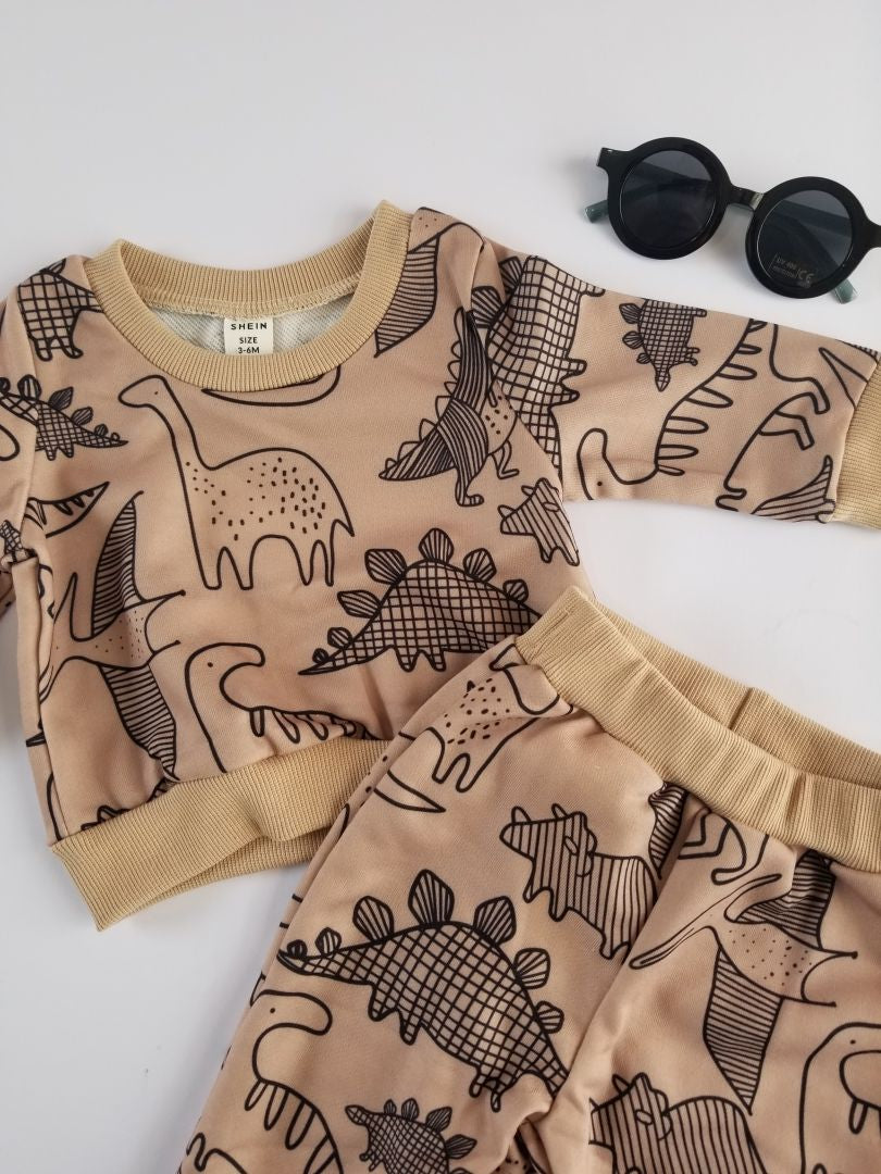 Conjunto dinosaurio