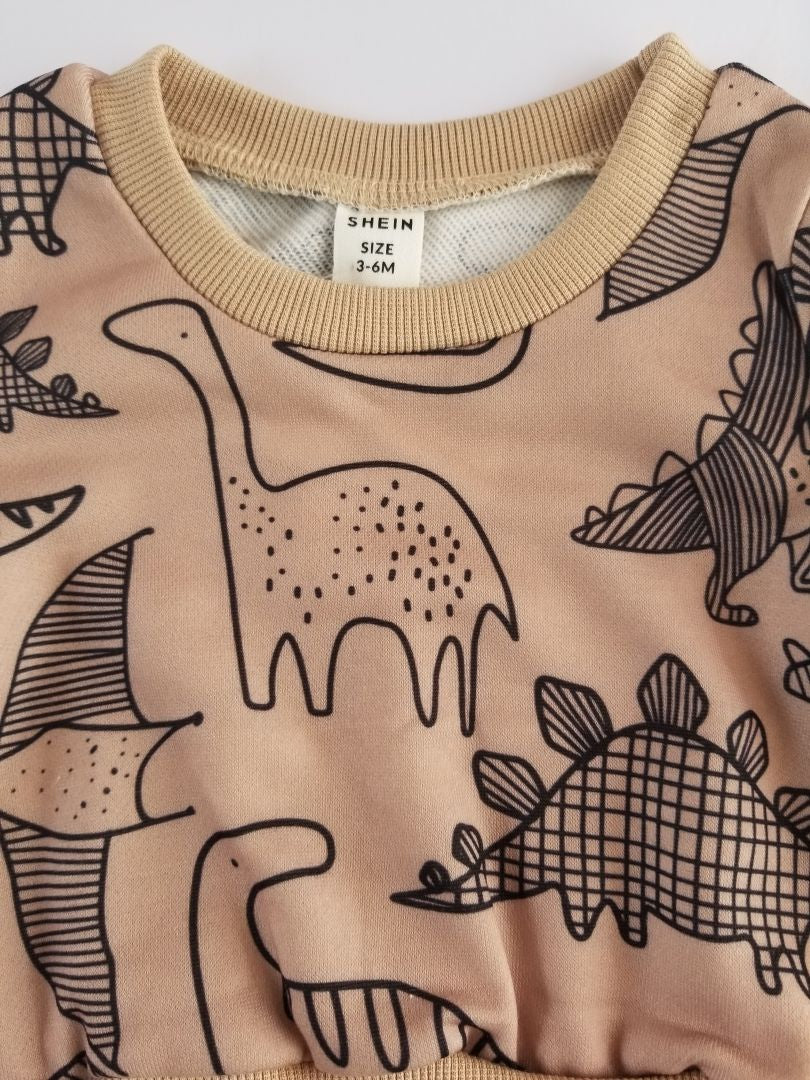 Conjunto dinosaurio