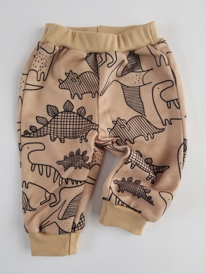 Conjunto dinosaurio
