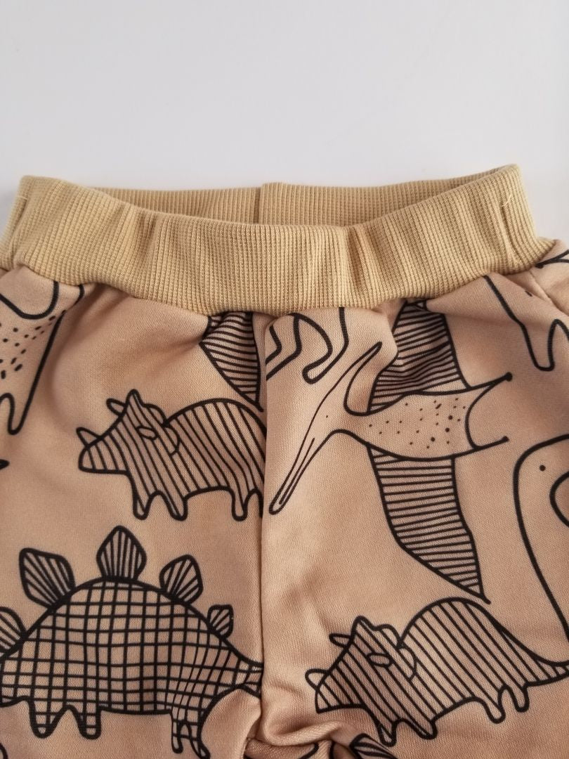 Conjunto dinosaurio
